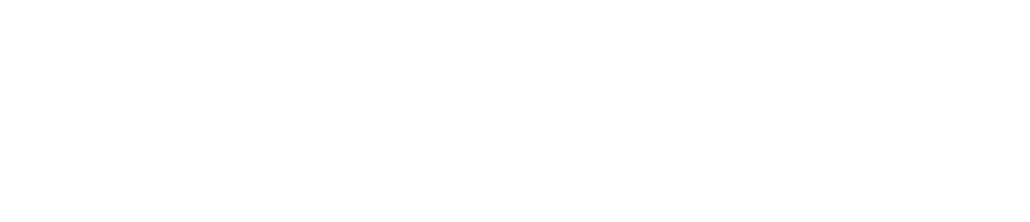 Frontier logo