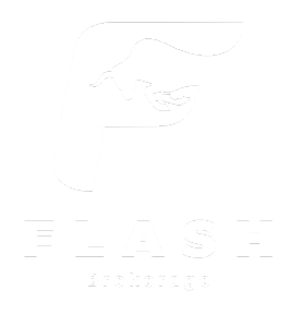 Flash logo